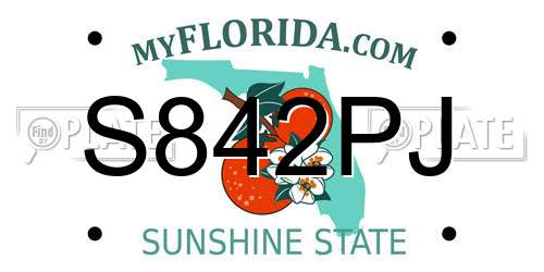 S842PJ Florida License Plate