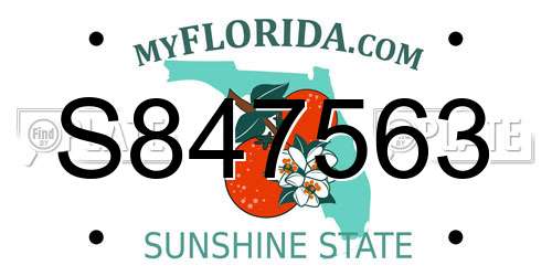 S847563 Florida License Plate