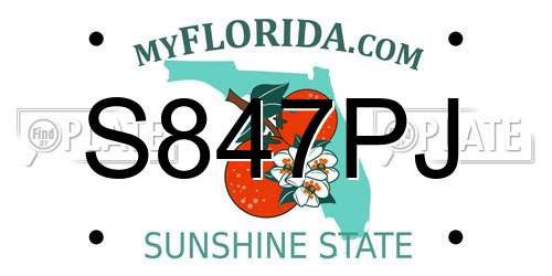 S847PJ Florida License Plate