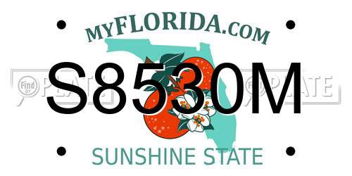 S8530M Florida License Plate