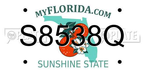 S8538Q Florida License Plate