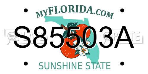S85503A Florida License Plate