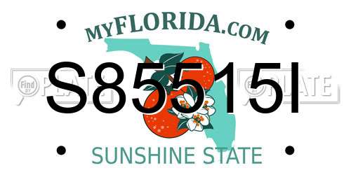 S85515I Florida License Plate