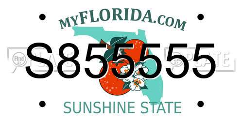 S855555 Florida License Plate