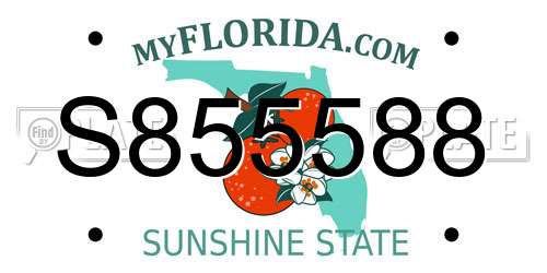S855588 Florida License Plate
