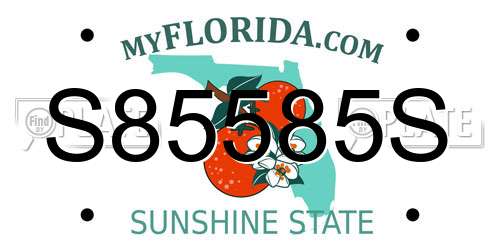 S85585S Florida License Plate