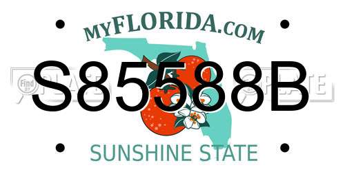 S85588B Florida License Plate