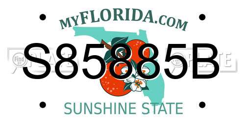 S85885B Florida License Plate