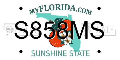 S858MS Florida License Plate