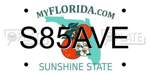 S85AVE Florida License Plate