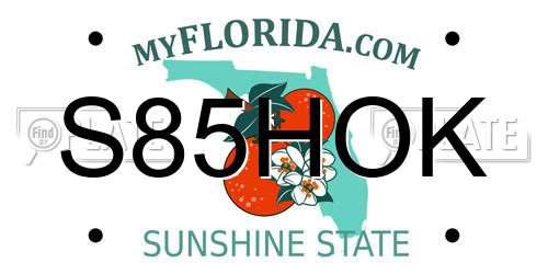 S85HOK Florida License Plate