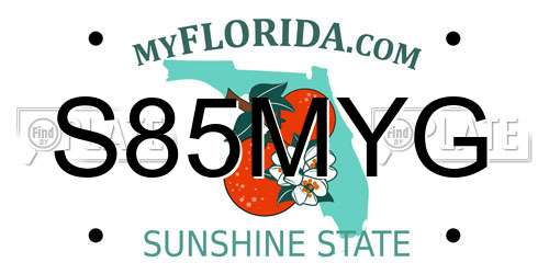 S85MYG Florida License Plate