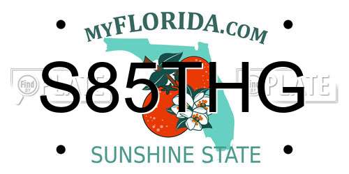 S85THG Florida License Plate