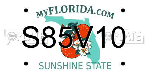 S85V10 Florida License Plate