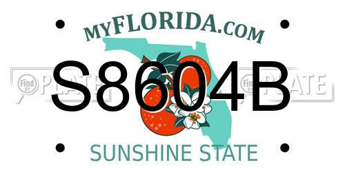 S8604B Florida License Plate