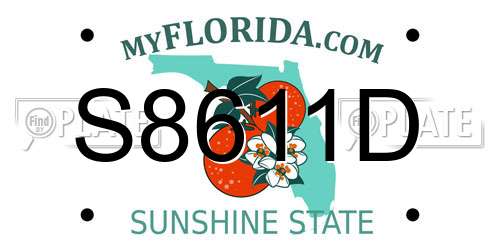 S8611D Florida License Plate