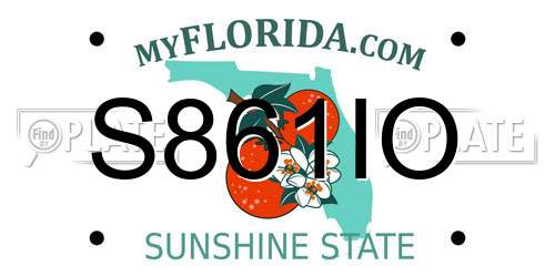 S861IO Florida License Plate