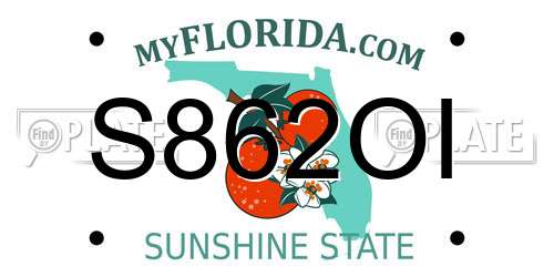S862OI Florida License Plate