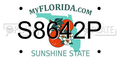 S8642P Florida License Plate