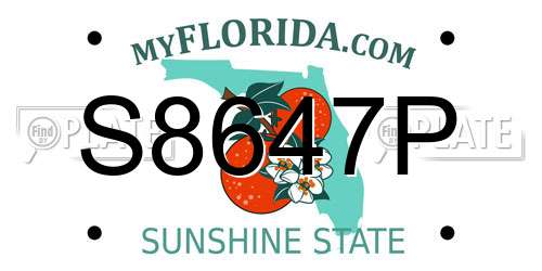 S8647P Florida License Plate