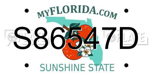 S86547D Florida License Plate