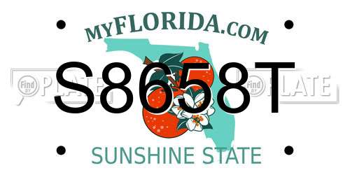 S8658T Florida License Plate
