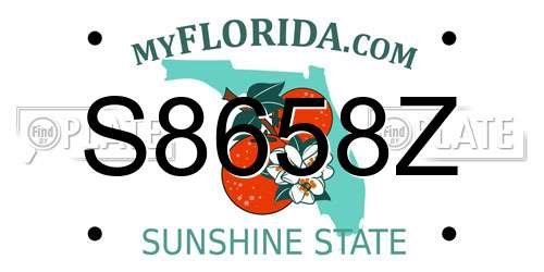 S8658Z Florida License Plate