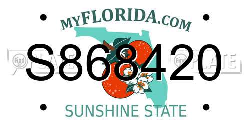 S868420 Florida License Plate