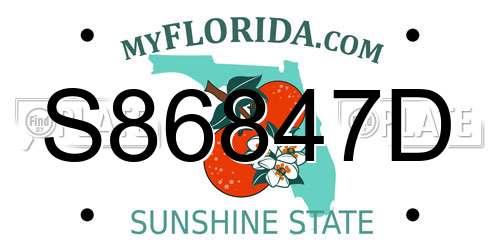 S86847D Florida License Plate