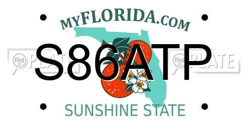 S86ATP Florida License Plate