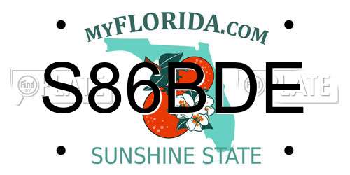 S86BDE Florida License Plate