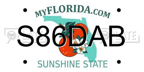 S86DAB Florida License Plate