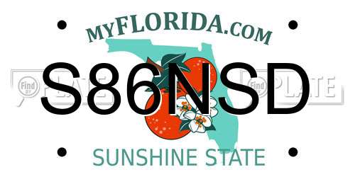 S86NSD Florida License Plate