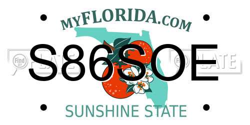 S86SOE Florida License Plate