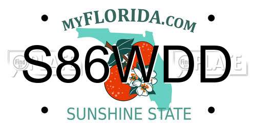 S86WDD Florida License Plate