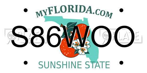 S86WOO Florida License Plate