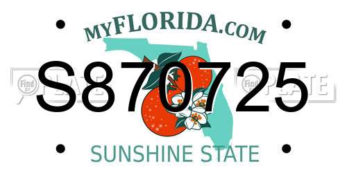 S870725 Florida License Plate