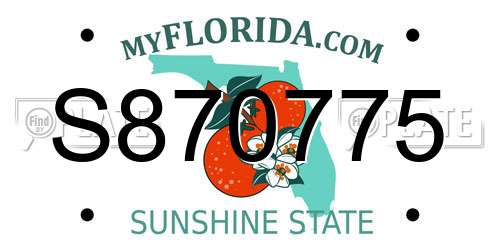 S870775 Florida License Plate