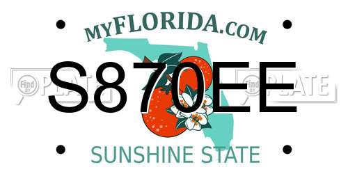 S870EE Florida License Plate