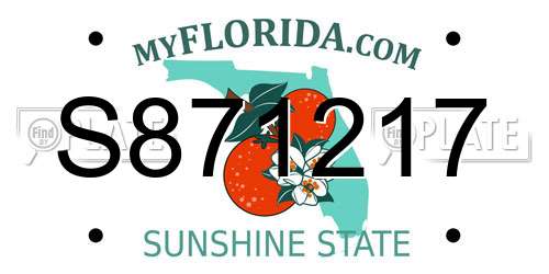 S871217 Florida License Plate