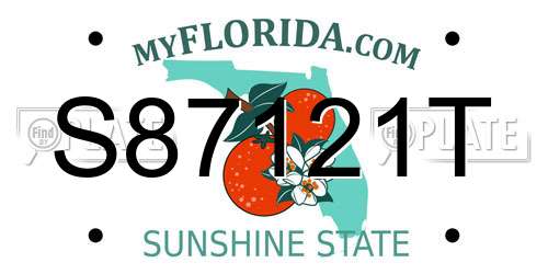 S87121T Florida License Plate