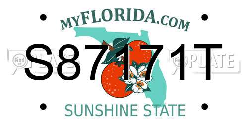 S87171T Florida License Plate