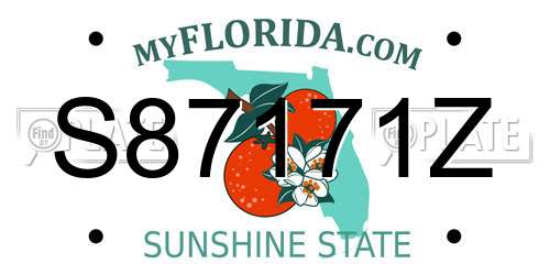 S87171Z Florida License Plate