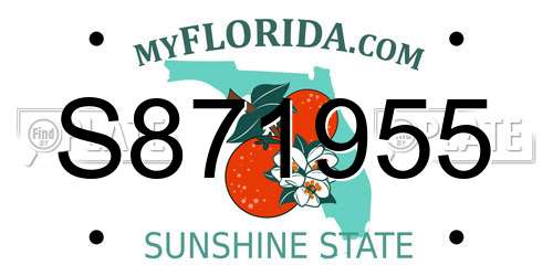 S871955 Florida License Plate