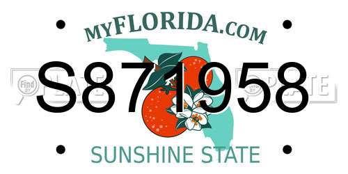 S871958 Florida License Plate