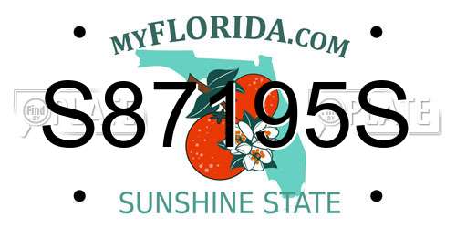 S87195S Florida License Plate