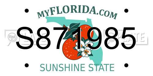 S871985 Florida License Plate
