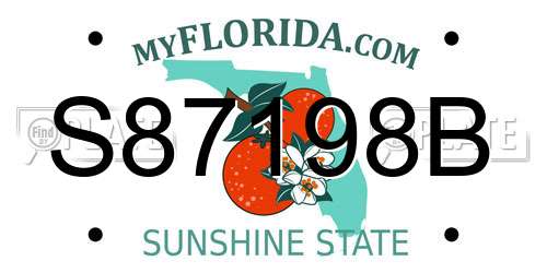 S87198B Florida License Plate
