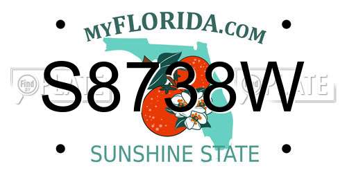 S8738W Florida License Plate