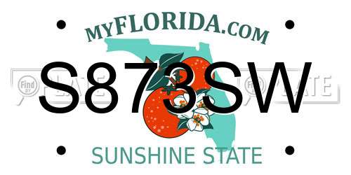 S873SW Florida License Plate